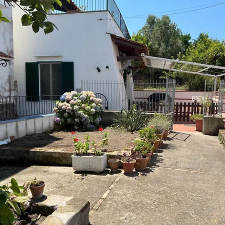 Villa Casa Maria Porto *